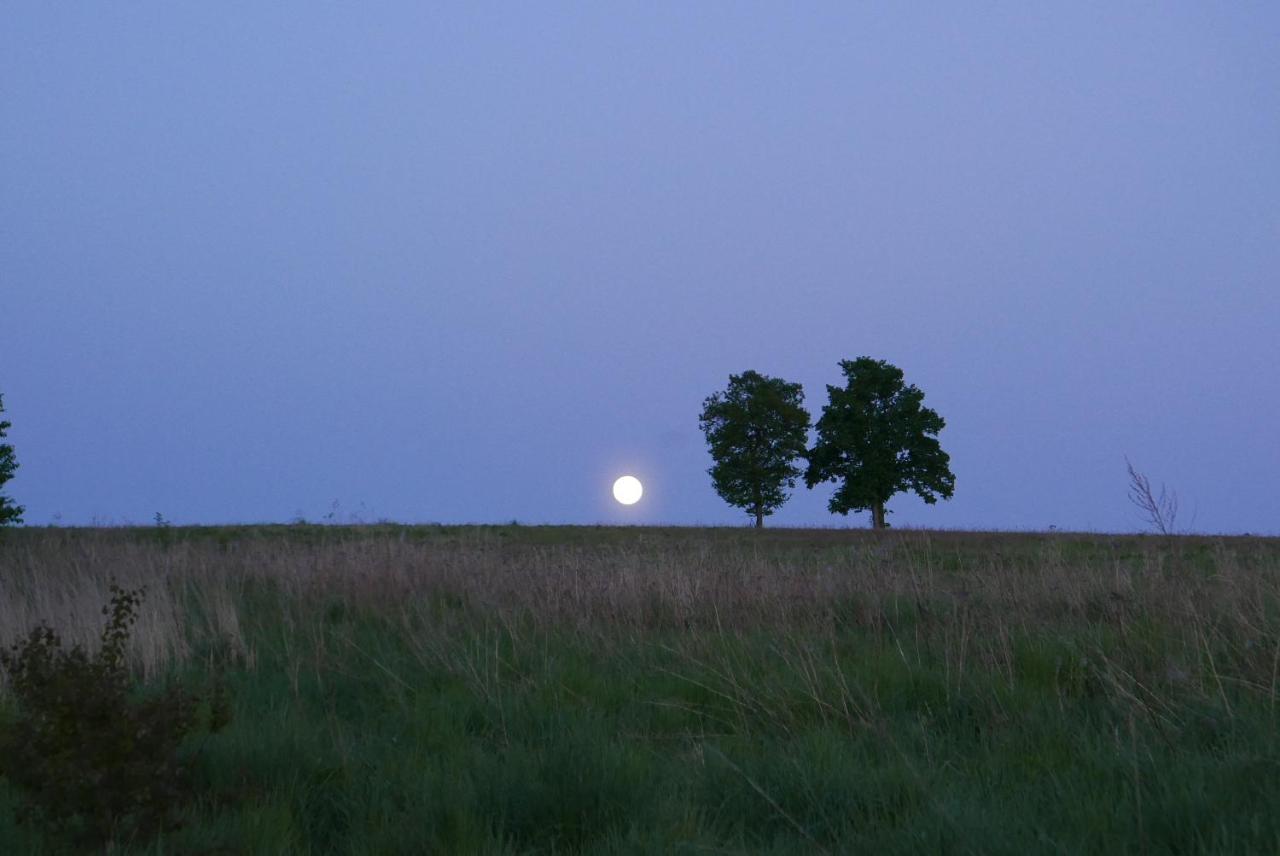 Róże i Jabłonie Agroturystyka Gryfów Slaski Exterior foto