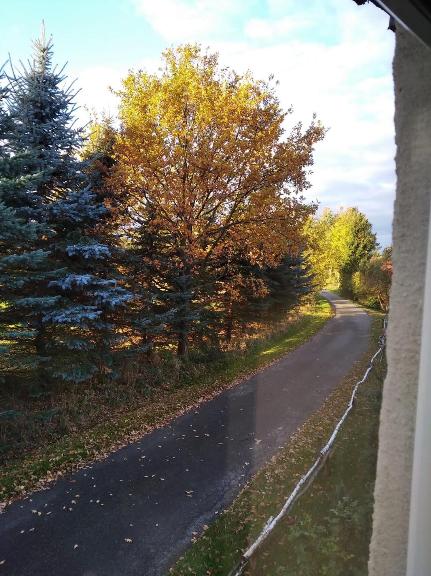 Róże i Jabłonie Agroturystyka Gryfów Slaski Exterior foto