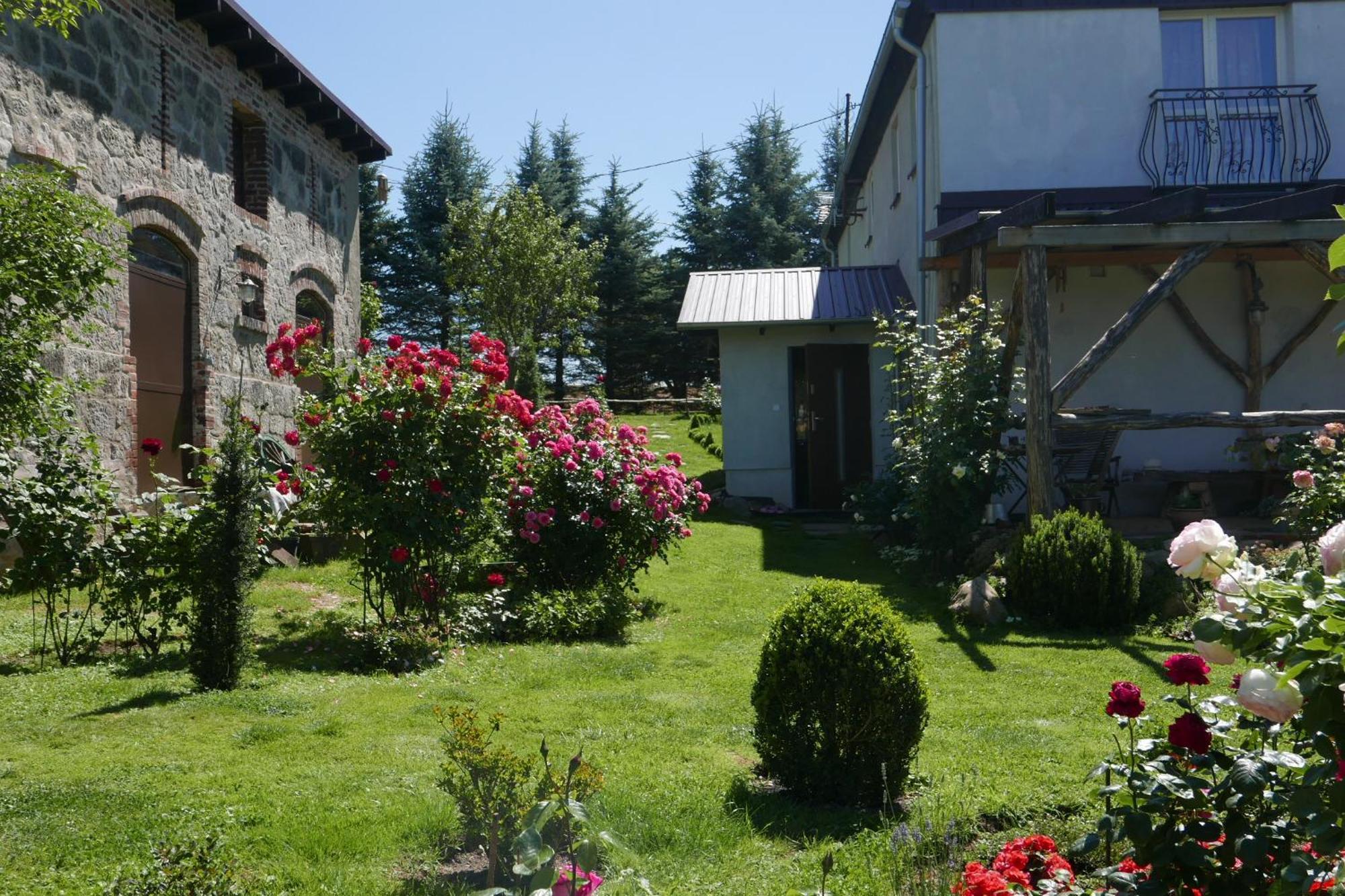 Róże i Jabłonie Agroturystyka Gryfów Slaski Exterior foto