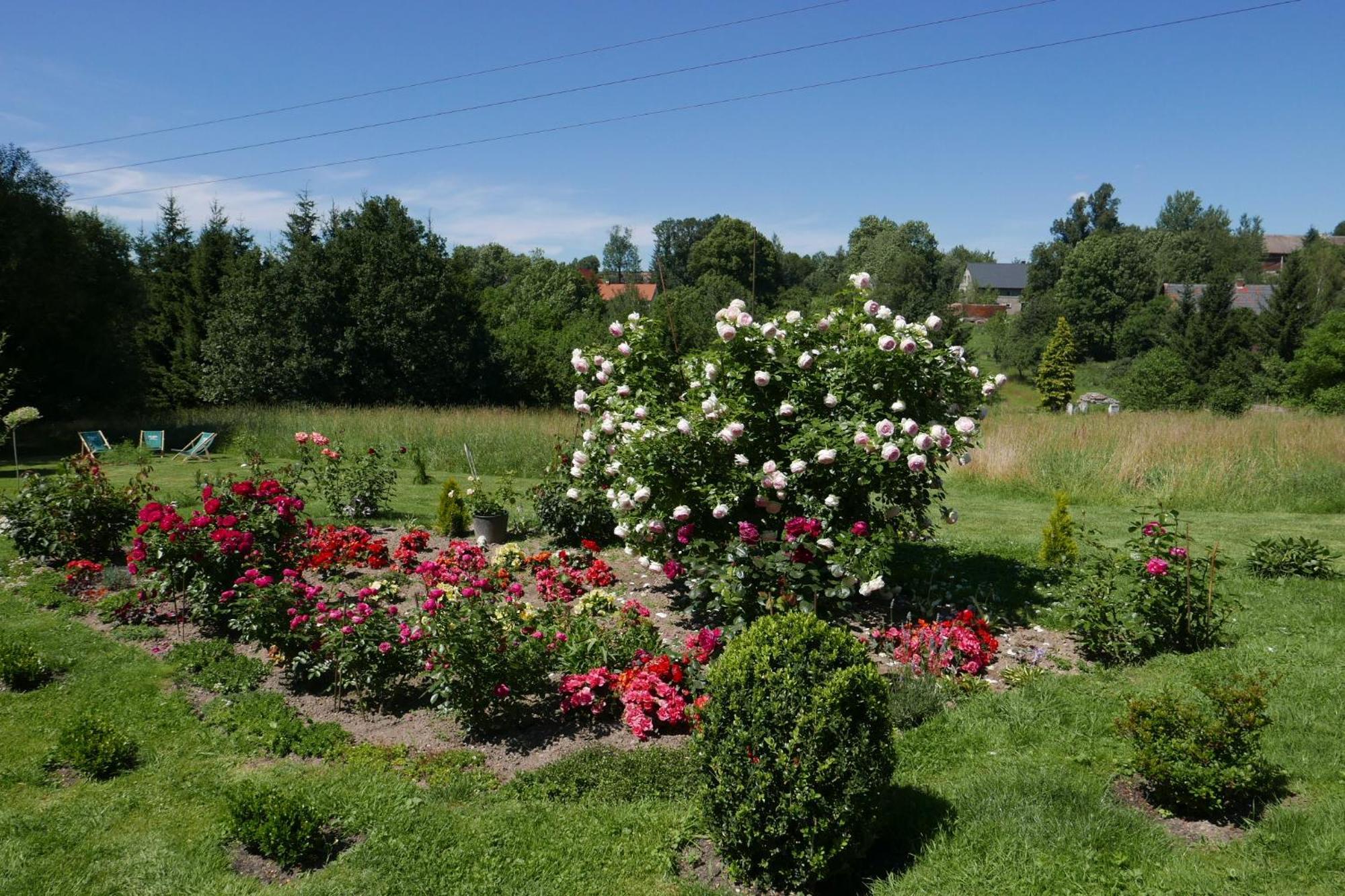 Róże i Jabłonie Agroturystyka Gryfów Slaski Exterior foto