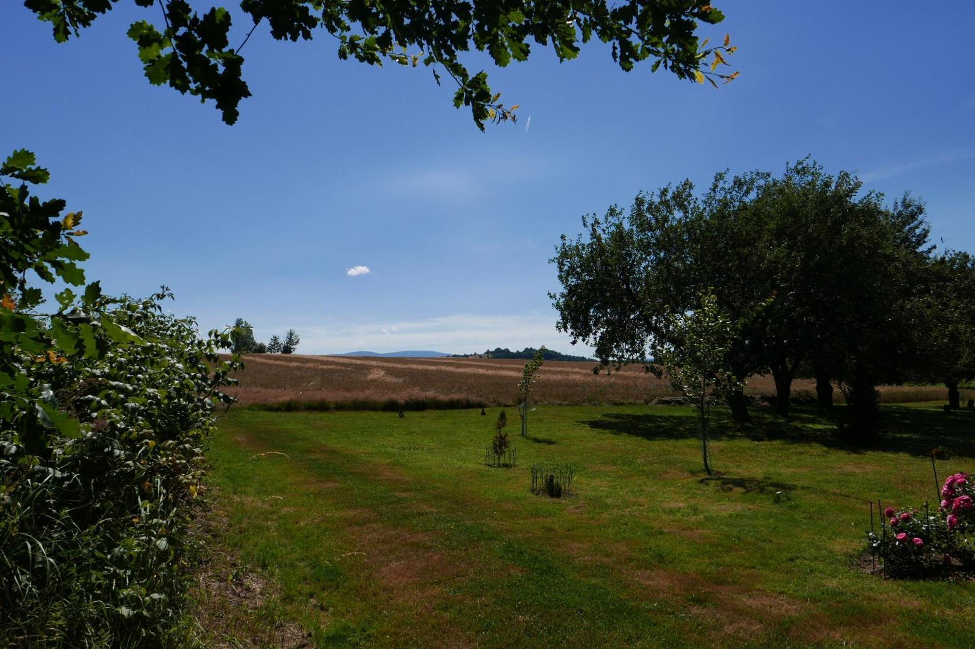 Róże i Jabłonie Agroturystyka Gryfów Slaski Exterior foto