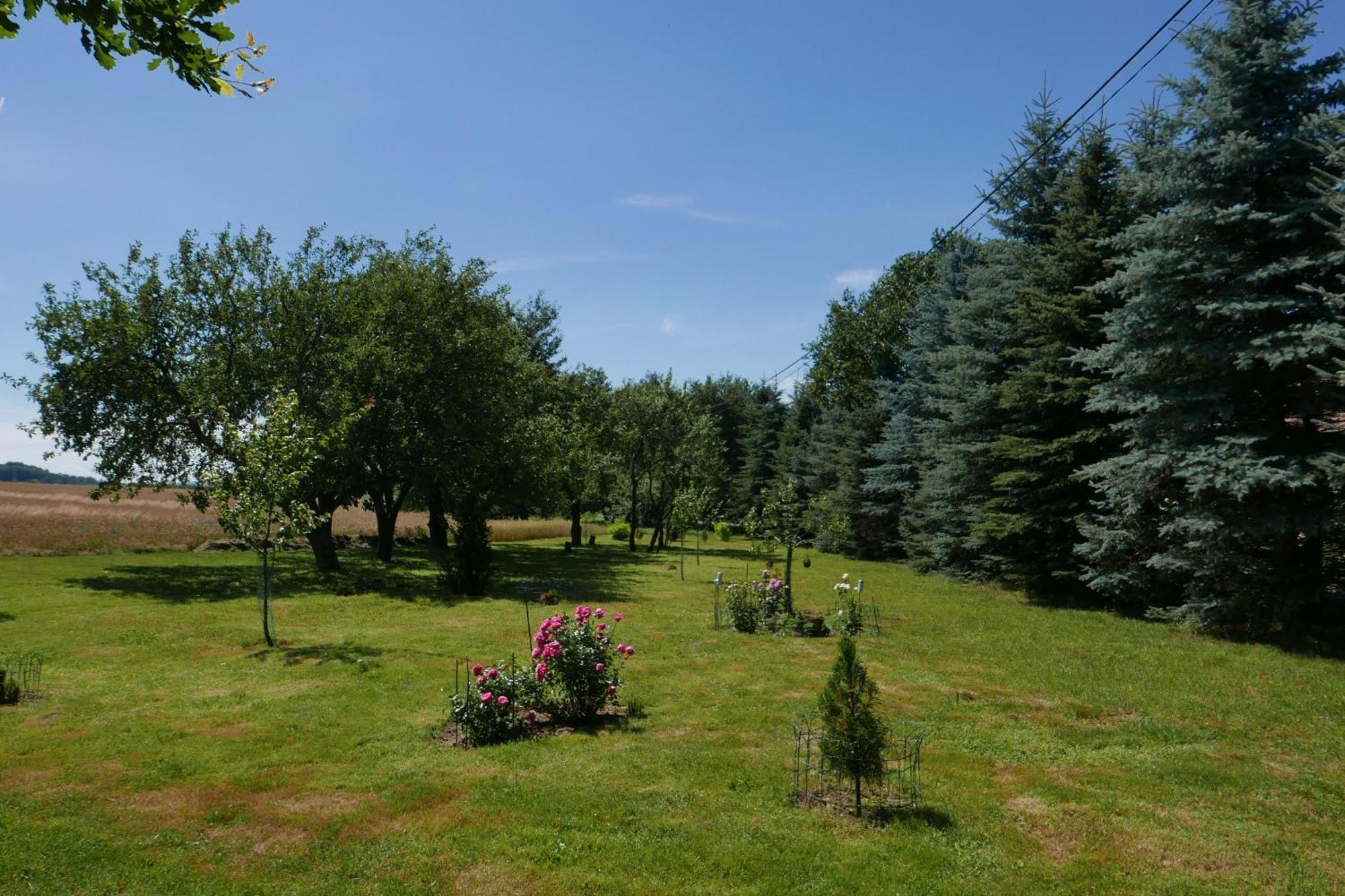 Róże i Jabłonie Agroturystyka Gryfów Slaski Exterior foto